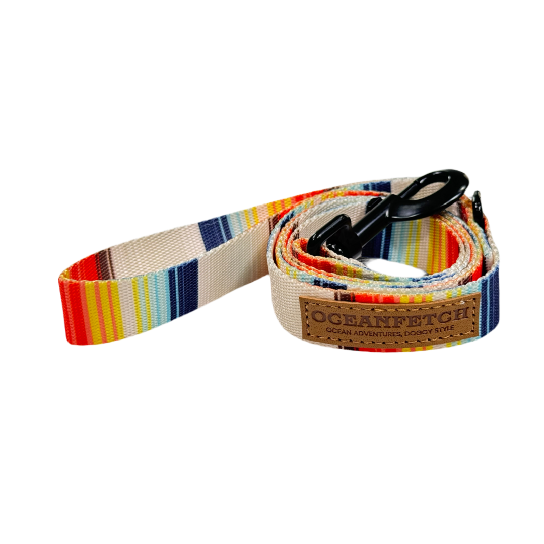 BreezeLite Dog Leash - La Jolla