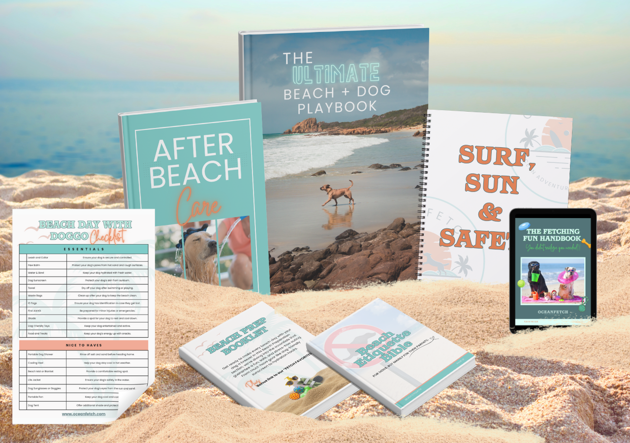 Ultimate Beach + Dog Playbook BUNDLE