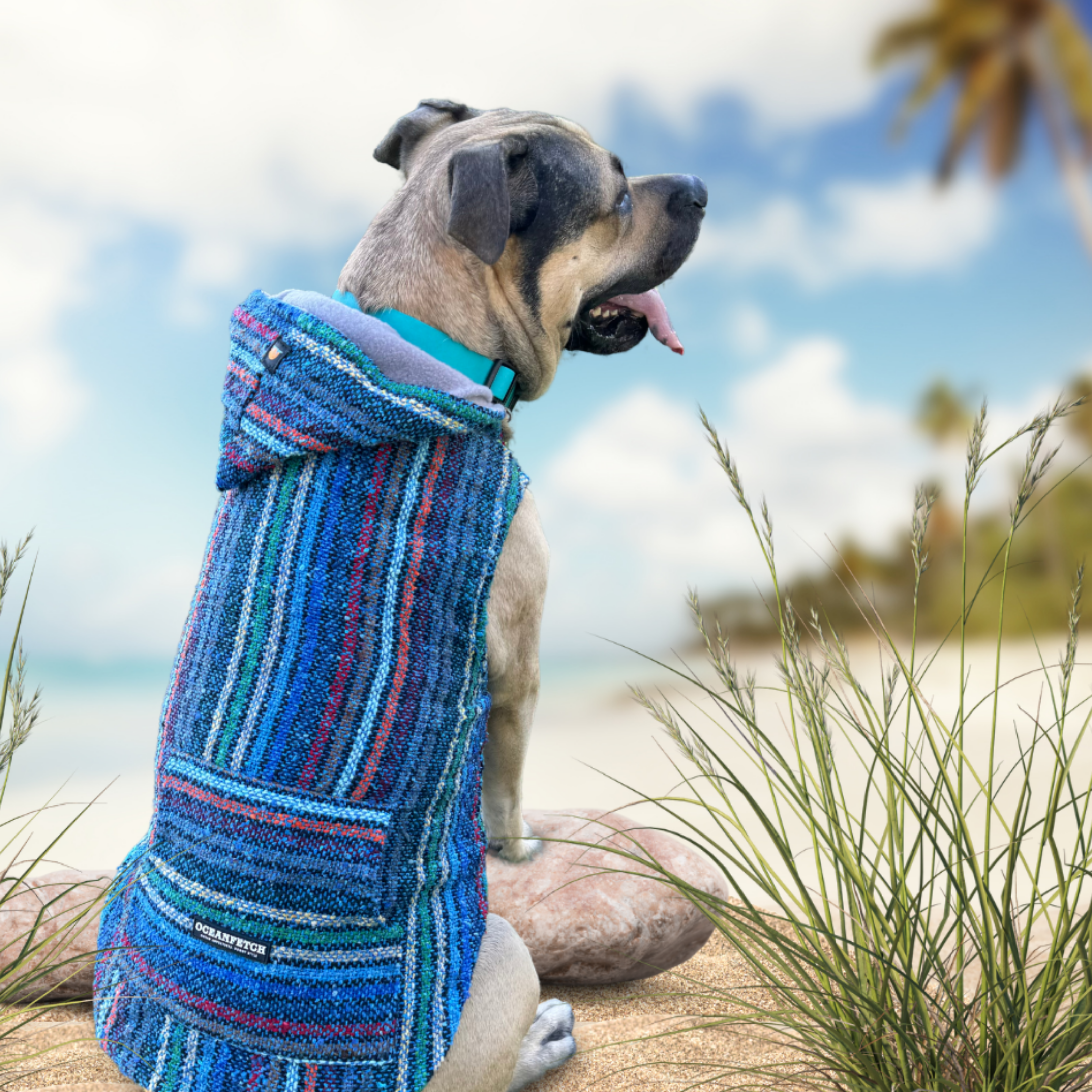 Baja Beach Bud Pancho Collection