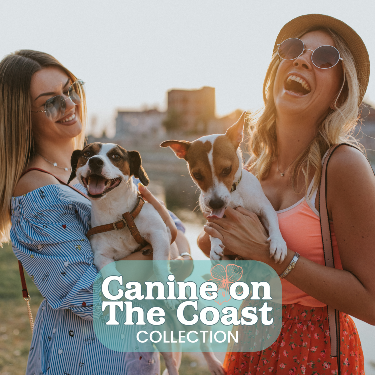 Canine On The Coast Collection