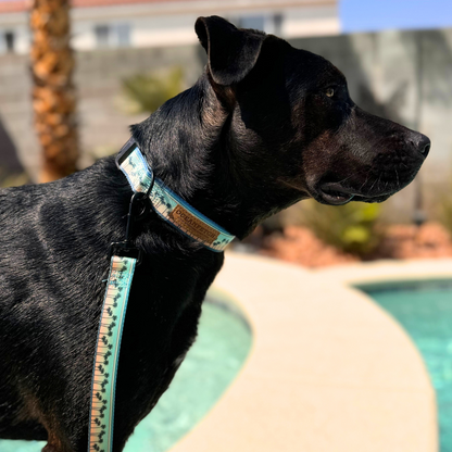 BreezeLite Collar - Paradise Pup