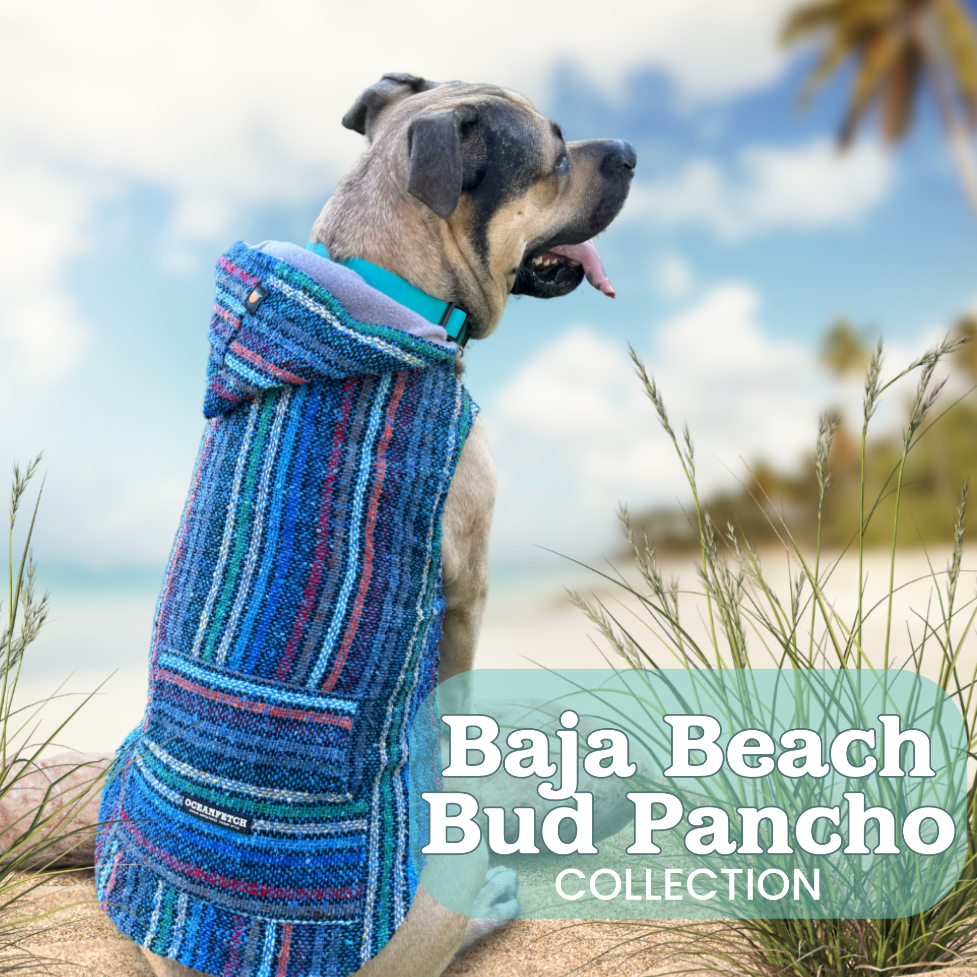 Baja Beach Bud Pancho