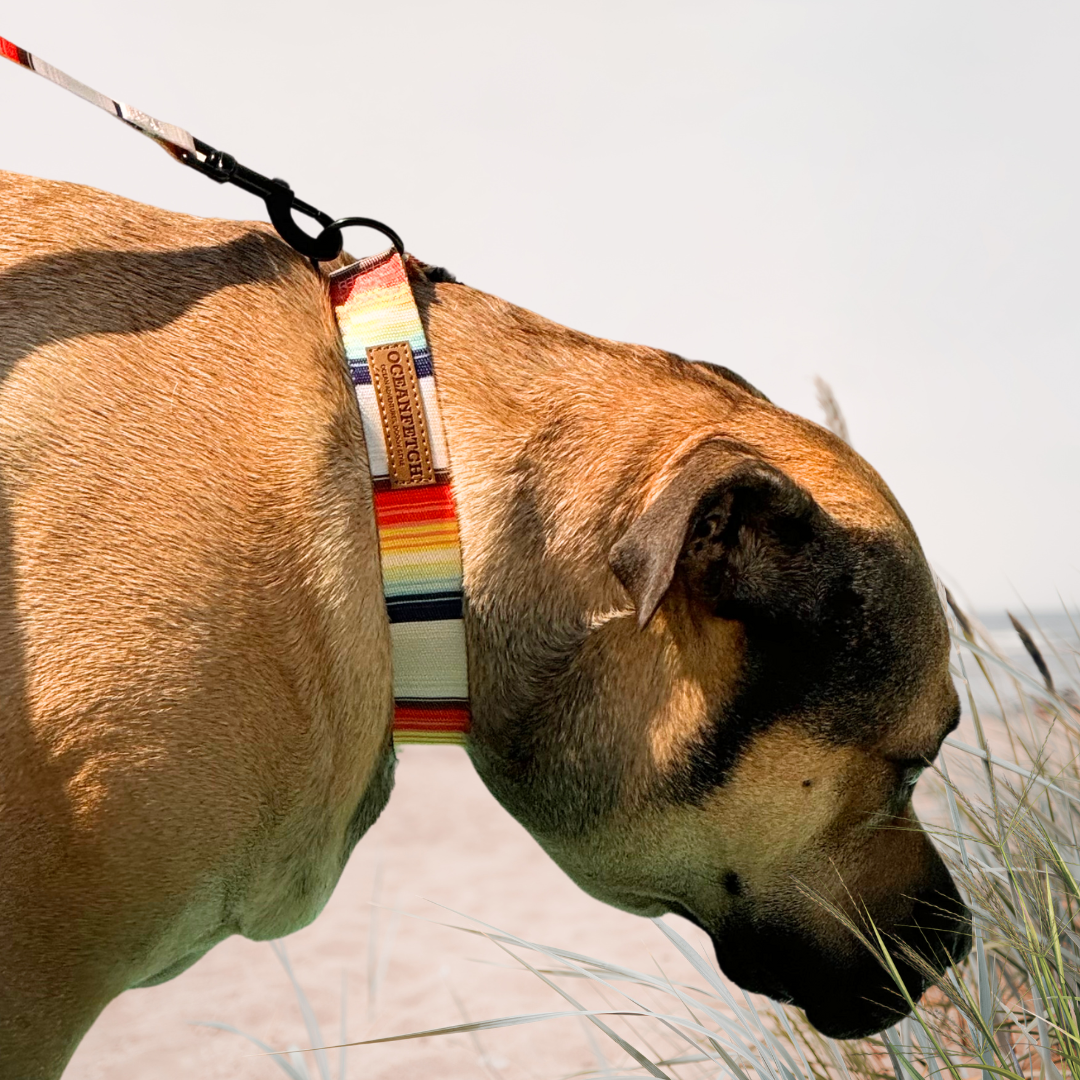 BreezeLite Collar - La Jolla